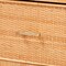 Baxton Studio Vaere Modern Bohemian Natural Brown Rattan and Mahogany Wood Storage Cabinet 233-13175-ZORO - alternate 9
